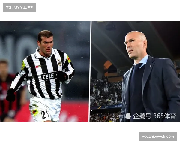 转会动态：多家媒体称，拜仁慕尼黑已接触哈兰德团队探讨今夏转会